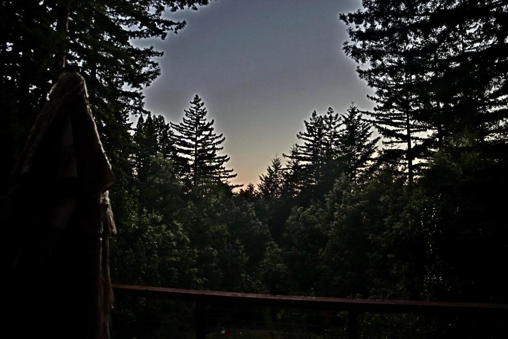The Paradise Retreats Bonny Doon Exterior photo